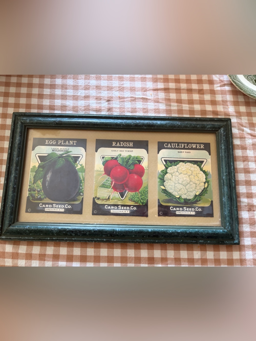 Vintage Garden Seed Packet Wall Art - Red & Green Radish Illustration